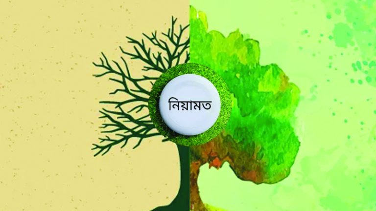 আমরা কি ভুল নিয়ামত গুনছি? জীবনের প্রকৃত প্রাপ্তি ও শুকরিয়া