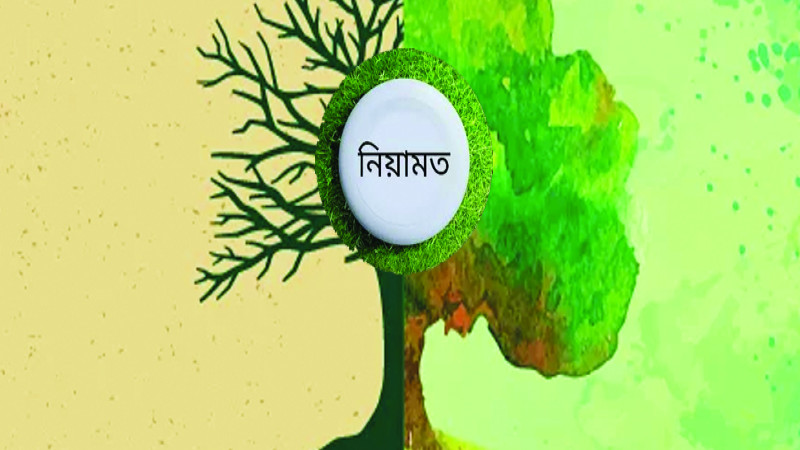 আমরা কি ভুল নিয়ামত গুনছি? জীবনের প্রকৃত প্রাপ্তি ও শুকরিয়া