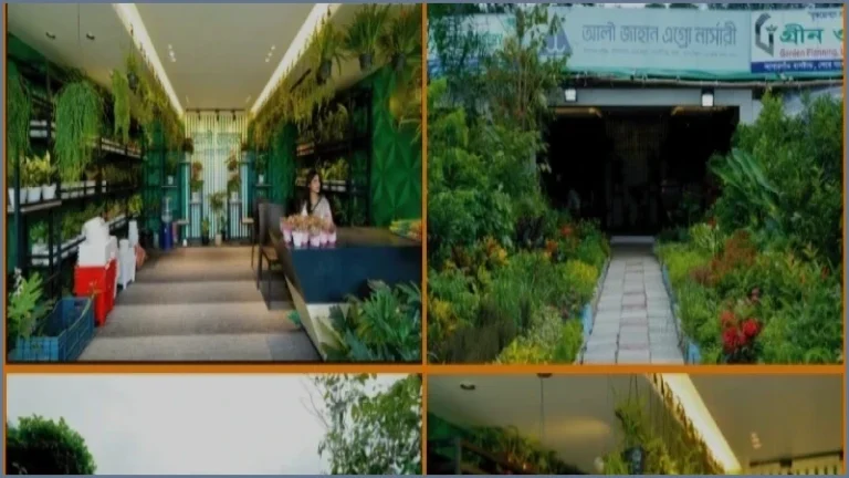 জাতীয় বৃক্ষমেলা ২০২৬: নজর কাড়ছে আলী-জাহান অ্যাগ্রো