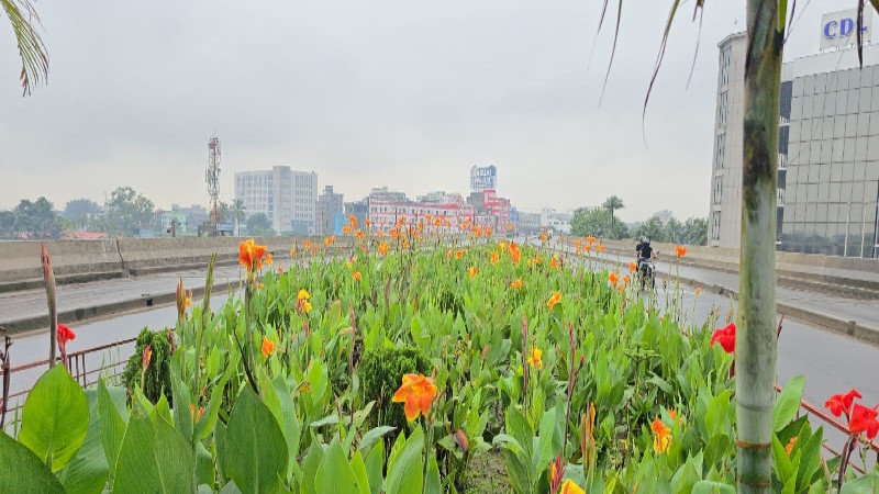 টঙ্গীর বিআরটি স্টেশন এলাকা এখন সাজানো রঙিন ফুলের বাগানে