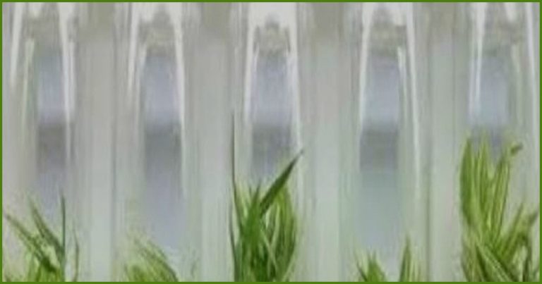 টিস্যু কালচার প্রযুক্তিতে দেশে বাড়ছে উচ্চমূল্যের ফসলের চারা উৎপাদন