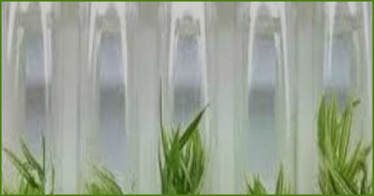 টিস্যু কালচার প্রযুক্তিতে দেশে বাড়ছে উচ্চমূল্যের ফসলের চারা উৎপাদন